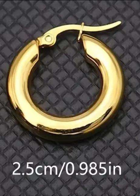 Gold Plated Stainless Steel Glossy Solid Round Hoop Earrings