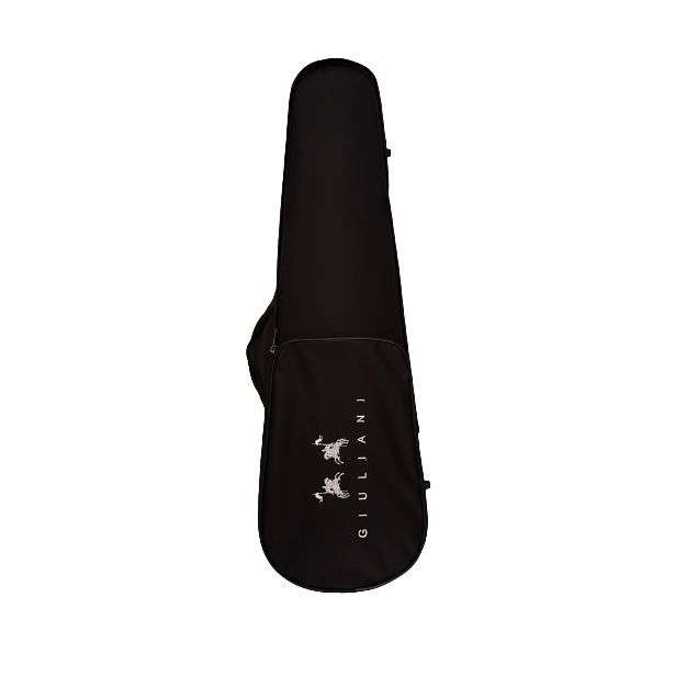Giuliani SV2 Size 4/4 Violin