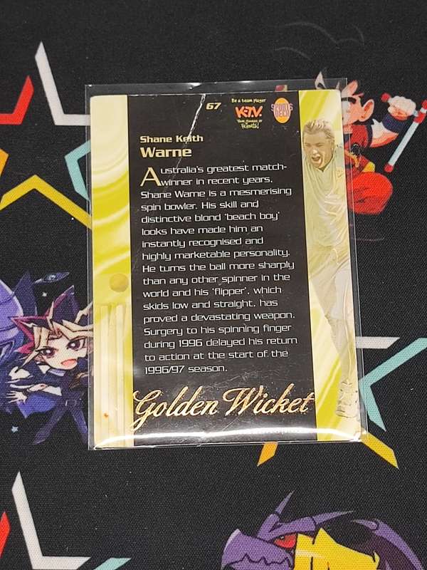 Signed Golden Wicket Shane Warne #67 Cricket World