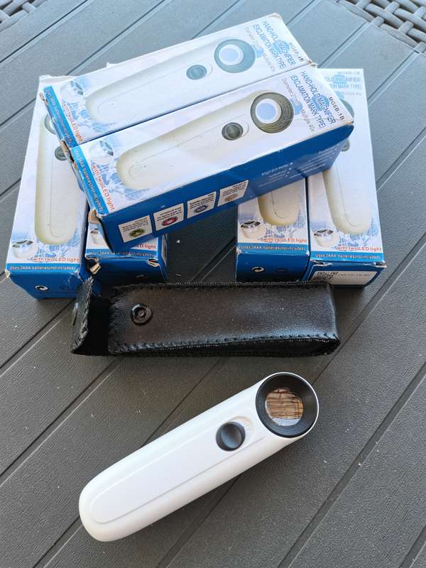 Hand Held Magnifier
