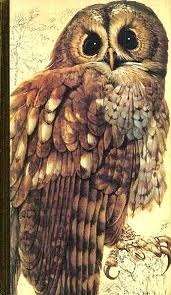 Book Of British Birds