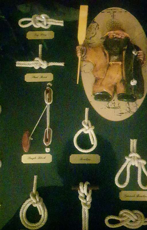 Nautical Sailor knots  Marine Characters Magnificent Framed Maritime Display Case