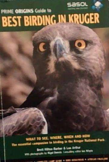 Best Birding In Kruger