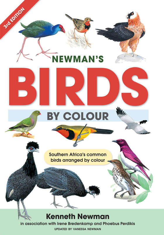 Birds by Colour Newman's