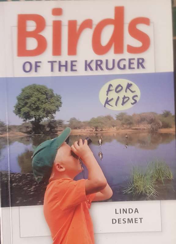 Birds of the Kruger (For Kids)