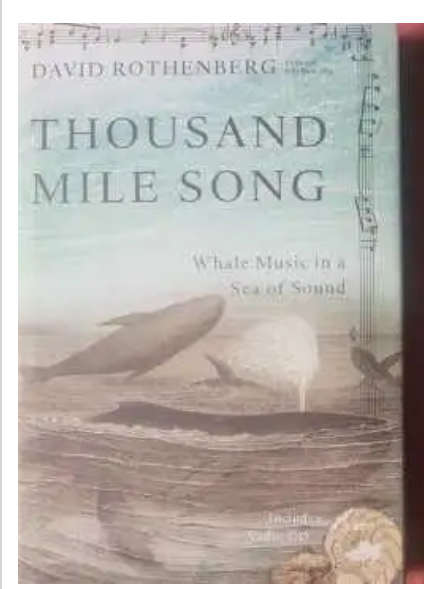 Thousand Mile Song