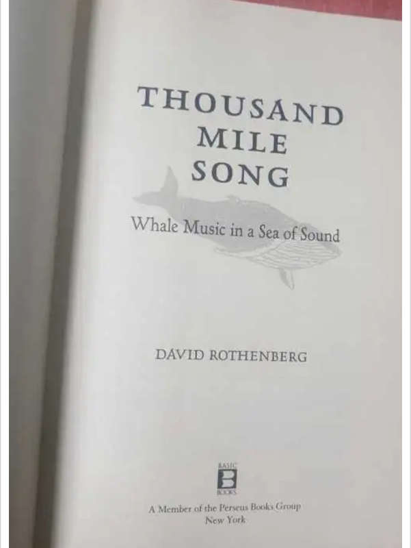 Thousand Mile Song
