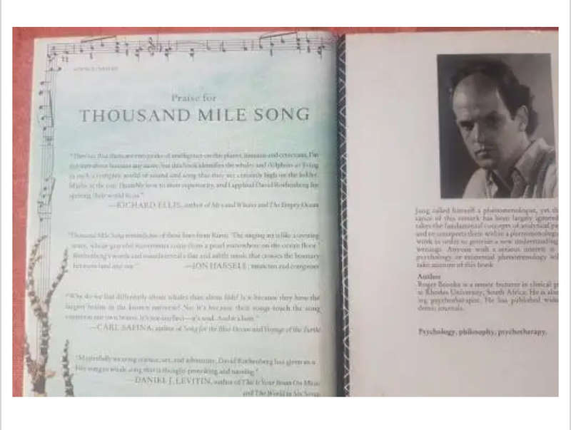 Thousand Mile Song