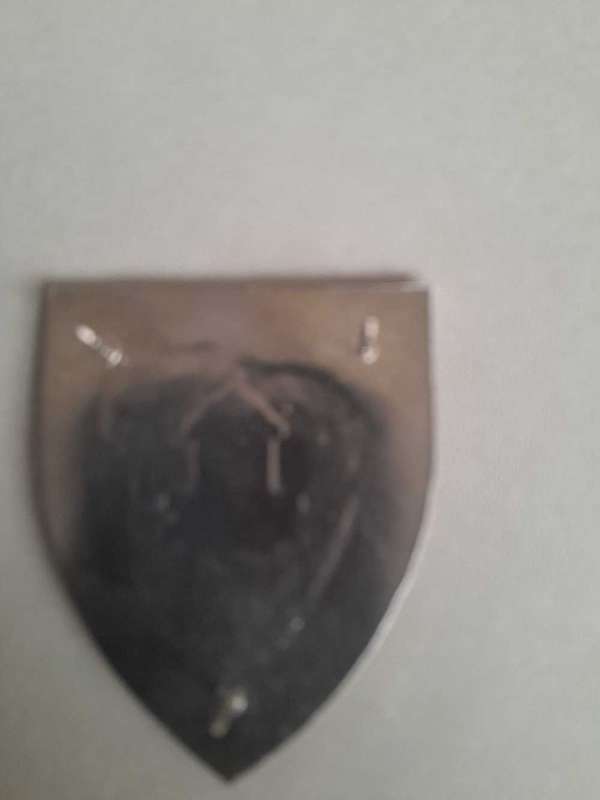 Regiment Algoa Bay Metal Flash