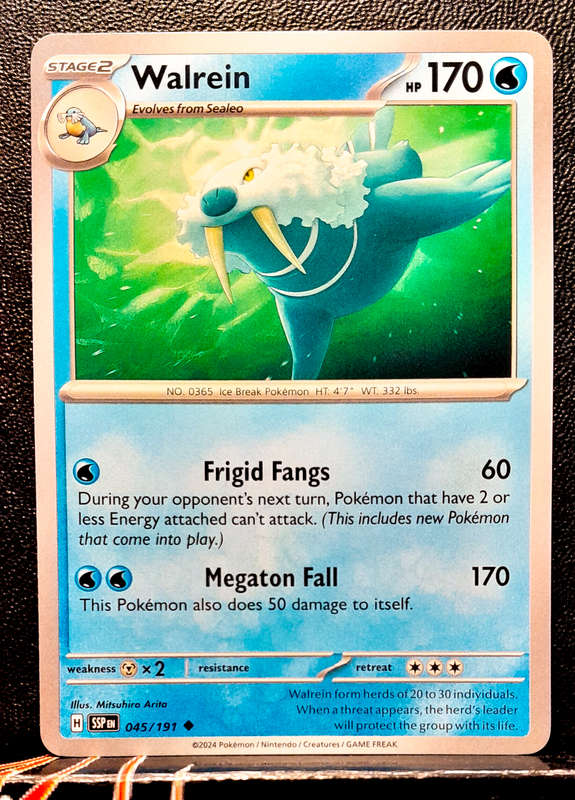 Pokemon Card - Walrein 045/191- Uncommon - Surging Sparks NM