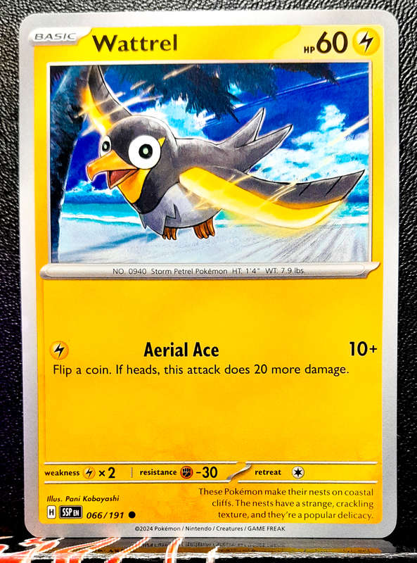 Pokemon Card - Wattrel 066/191- Common - Surging Sparks NM