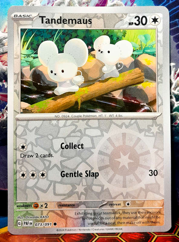 Pokemon Card - Tandemaus 073/091 - Reverse Holofoil - Paldean fates