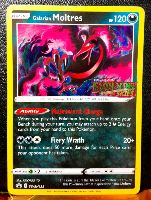 Pokemon Card - Galarian Moltres SWSH125 - Evolving Skies - Pre-Release Promo - Black star Promo NM