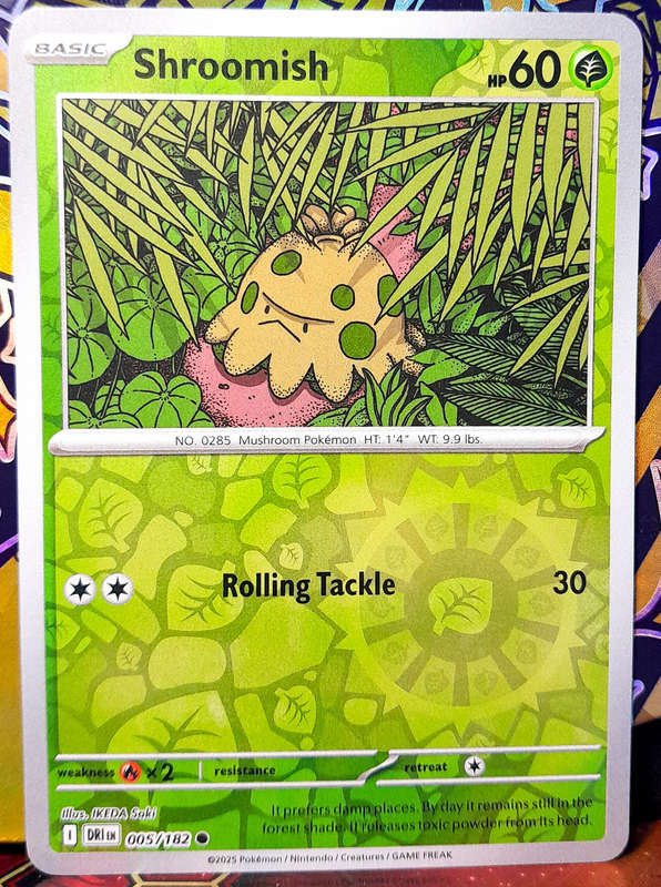 Pokemon Card - Shroomish 005/182 - Reverse Holofoil - Destined Rivals - NM