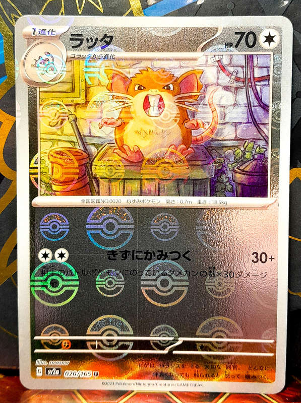 Pokemon Cards - Raticate sv2a 020/165 - Pokeball Reverse Holo - 151 - Japanese NM