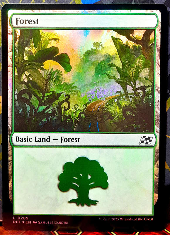 Magic the Gathering - Basic Land - Forest (289) - FOIL -  Aetherdrift  - NM