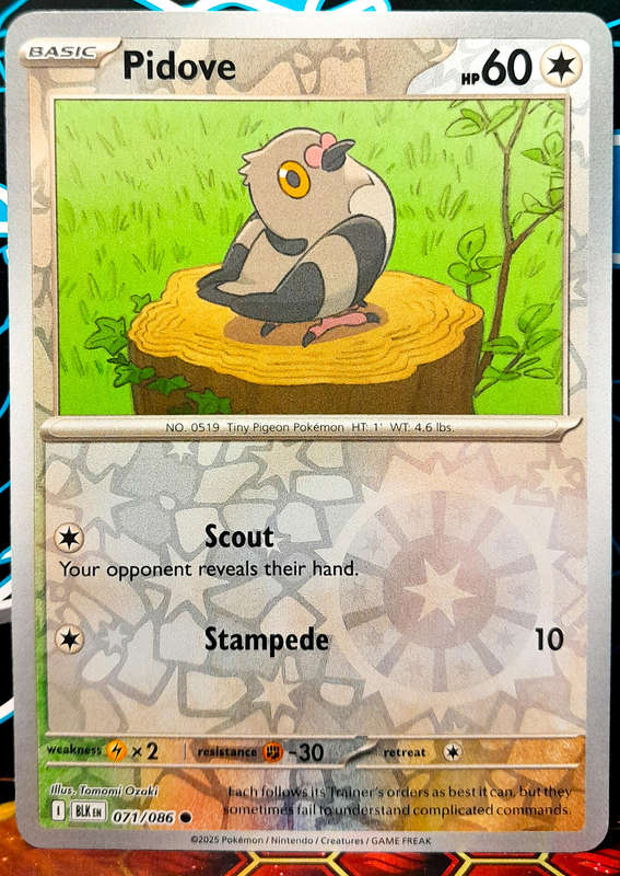 Pokemon Cards - Pidove 071/086 - Reverse Holofoil - Black Bolt - NM