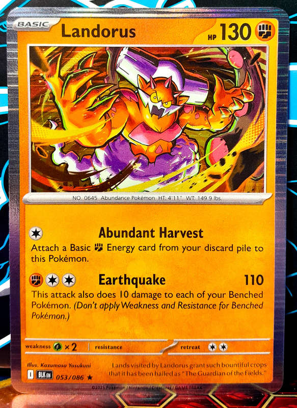 Pokemon Cards - Landorus 053/086 - Holofoil Rare - Black Bolt - NM