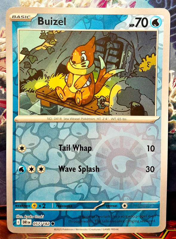 Pokemon Card - Buizel 057/182 - Reverse Holofoil - Destined Rivals - NM