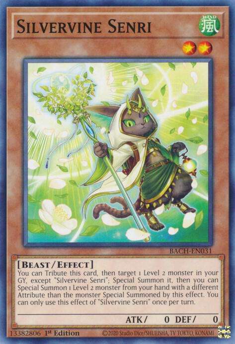 Yu-Gi-Oh! Card - Silvervine Senri - BACH-EN031 - 1st Edition - NM