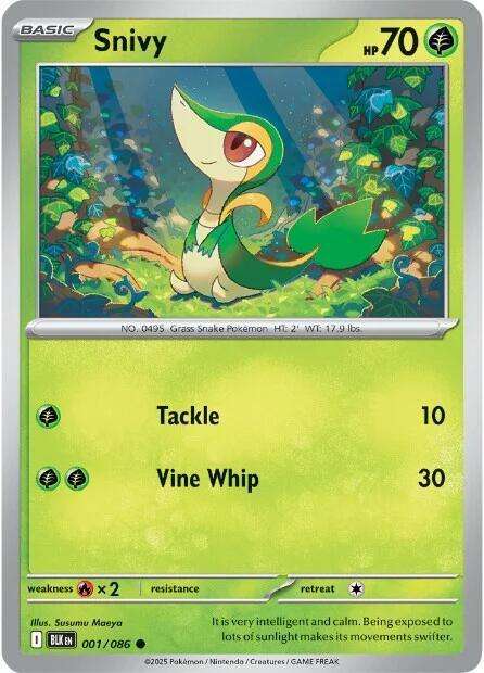 Pokemon Cards - Snivy 001/086 - Common - Black Bolt - NM