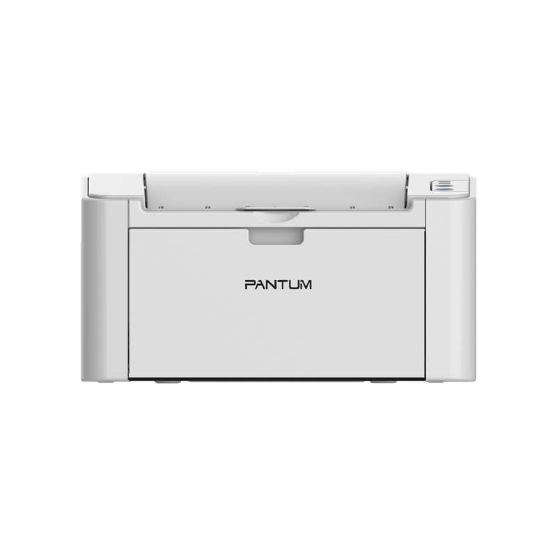 Brand new Pantum P2200 printer