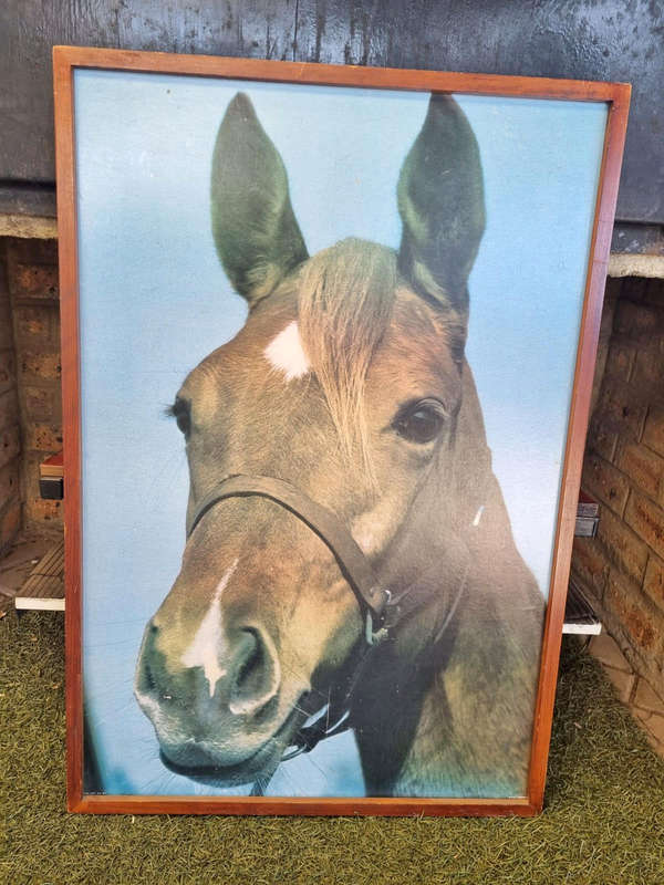 antique horse photo
