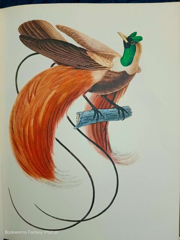 Larousse Animal Portraits by Pierre P. Grasse