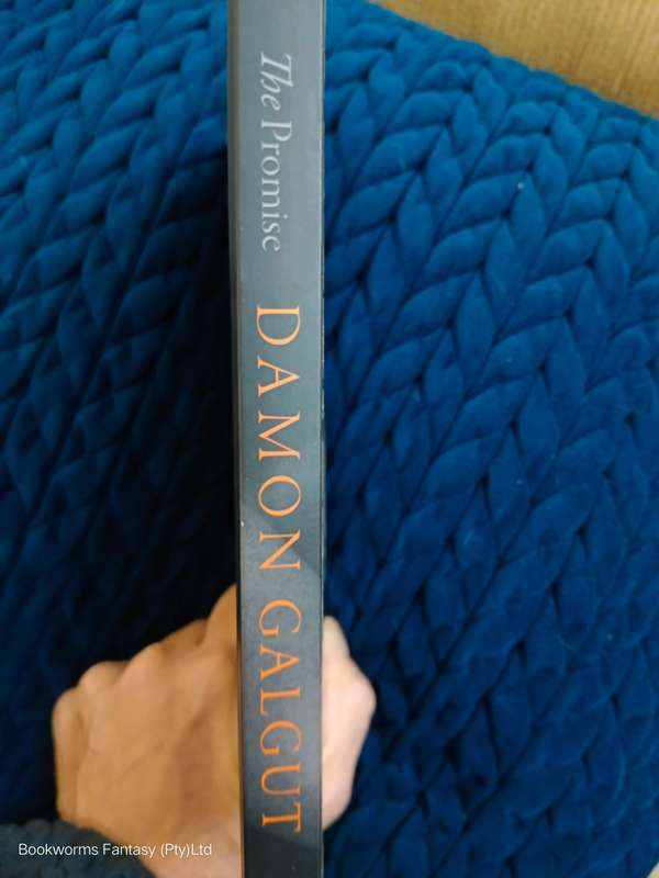 The Promise by Damon Galgut