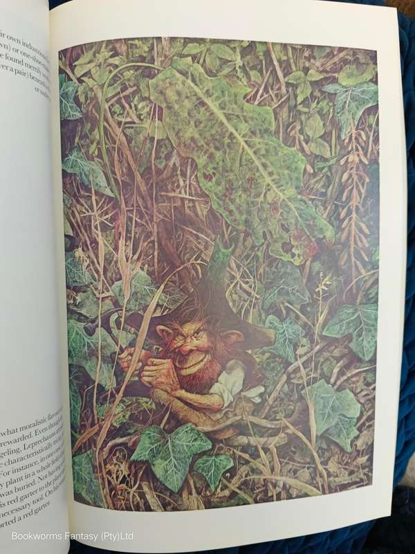 Faeries by Brian Froud
