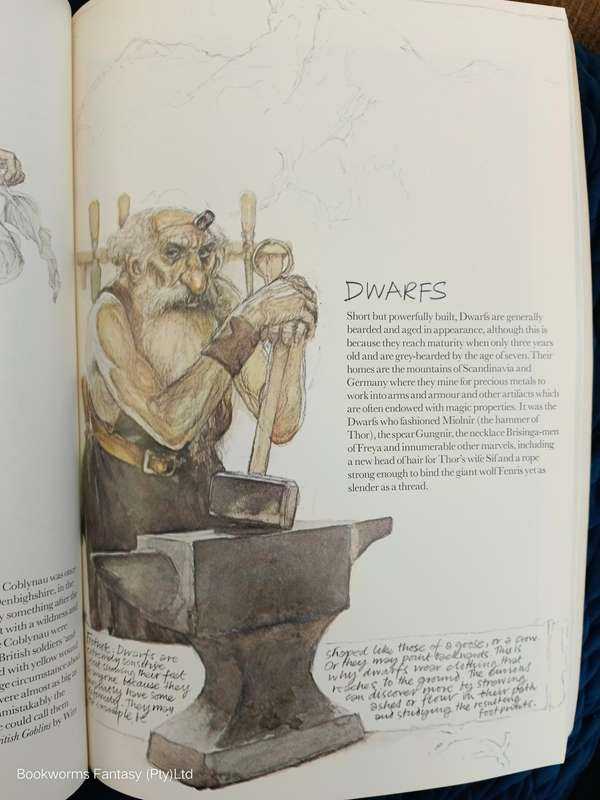 Faeries by Brian Froud