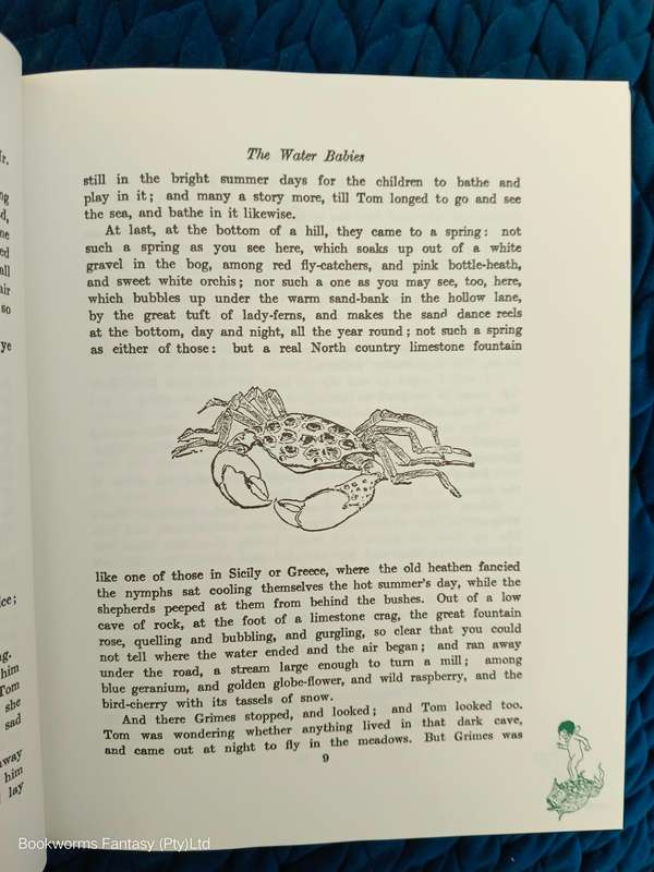 The Water Babies by Charles Kingsley