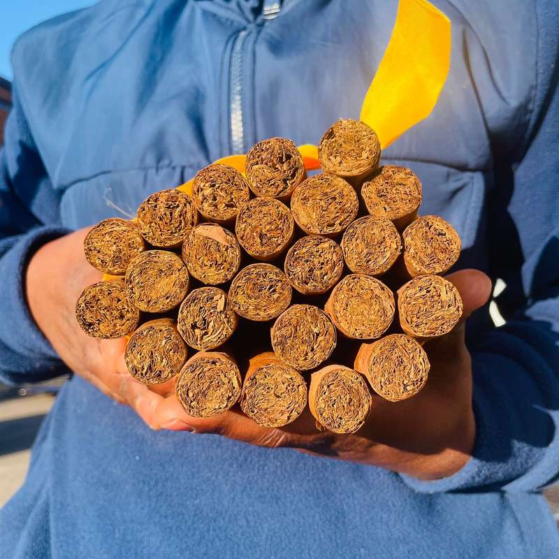 Cuban Cigars
