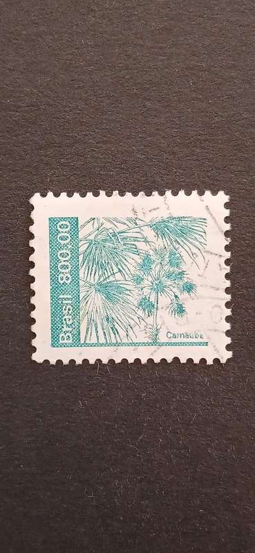 BRAZIL 1984 AGRICULTURAL PRODUCTS