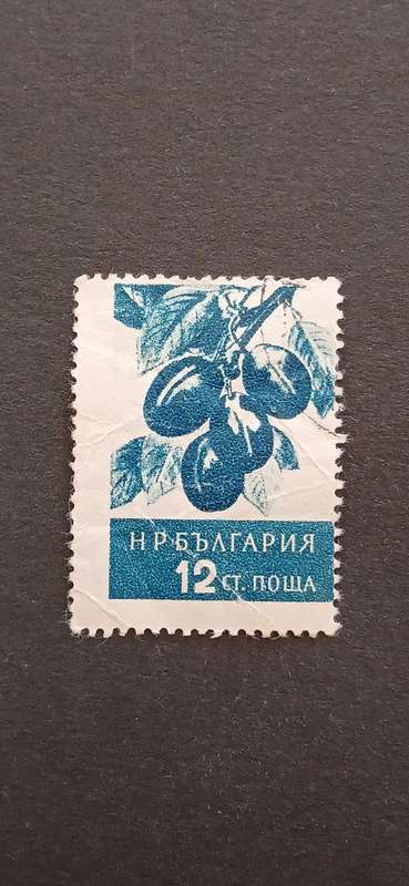 BULGARIA 1956 FRUIT
