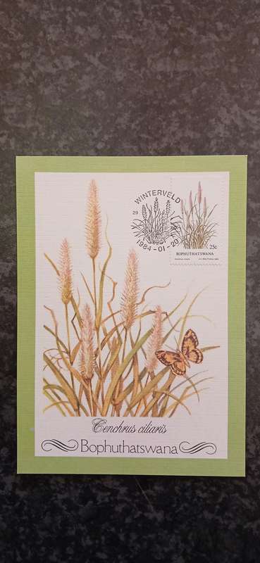 BOPHUTHATSWANA INDIGENOUS GRASSES