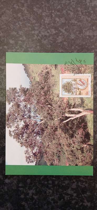 BOPHUTHATSWANA 1985 TREE CONSERVATION