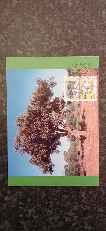 BOPHUTHATSWANA 1985 TREE CONSERVATION