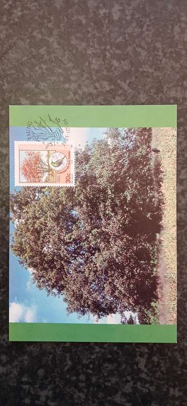 BOPHUTHATSWANA 1985 TREE CONSERVATION