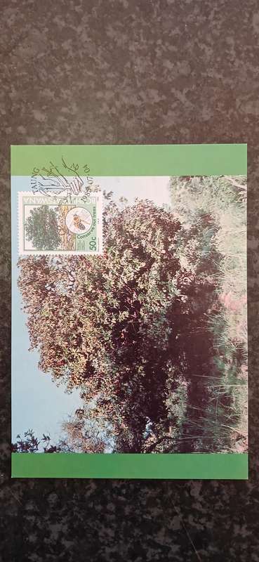 BOPHUTHATSWANA 1985 TREE CONSERVATION