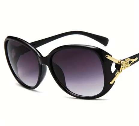 Ladies Fashion Sun Glasses