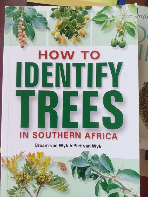 How to Identify trees in south Africa