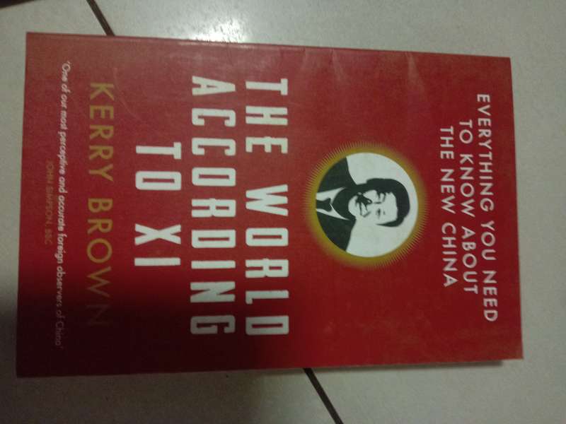 The world according to XI