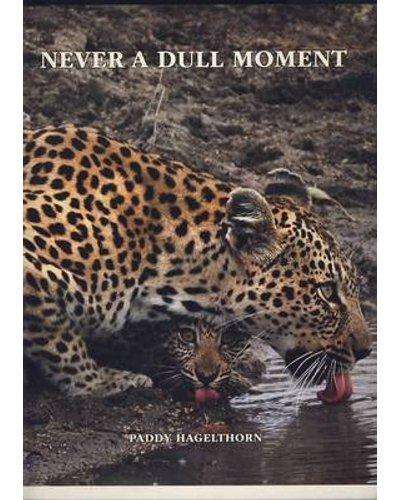 Never a Dull Moment (Paperback) Paddy Hagelthorn