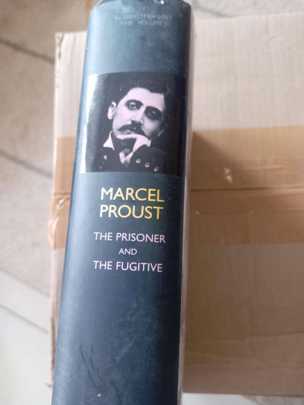 The Prisoner and the Fugitive, Marcel Proust