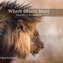 Where giants meet (Hardcover) Gerhard Steenkamp