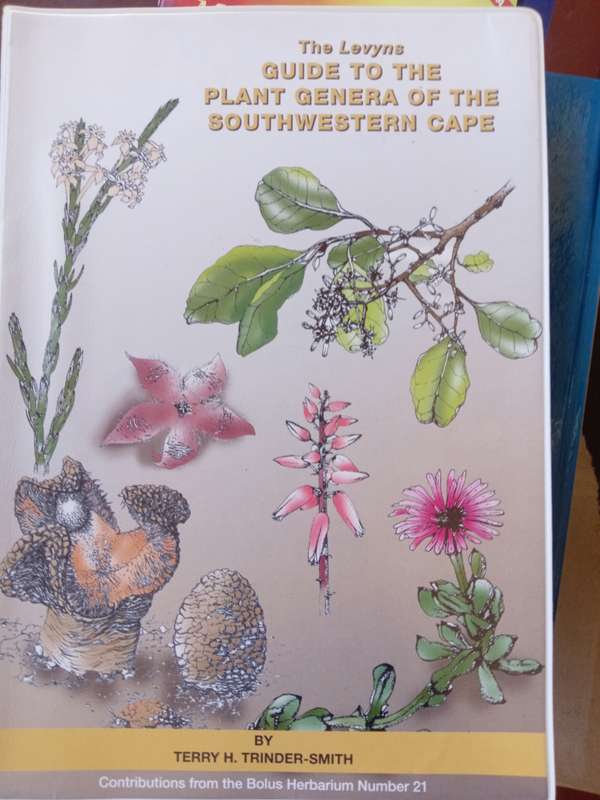 The Levyns guide to plant general of the southwestern cape