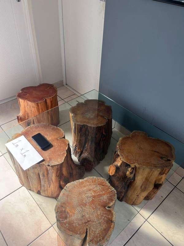 Coffee Table with glass top and 5 Polished Trunks