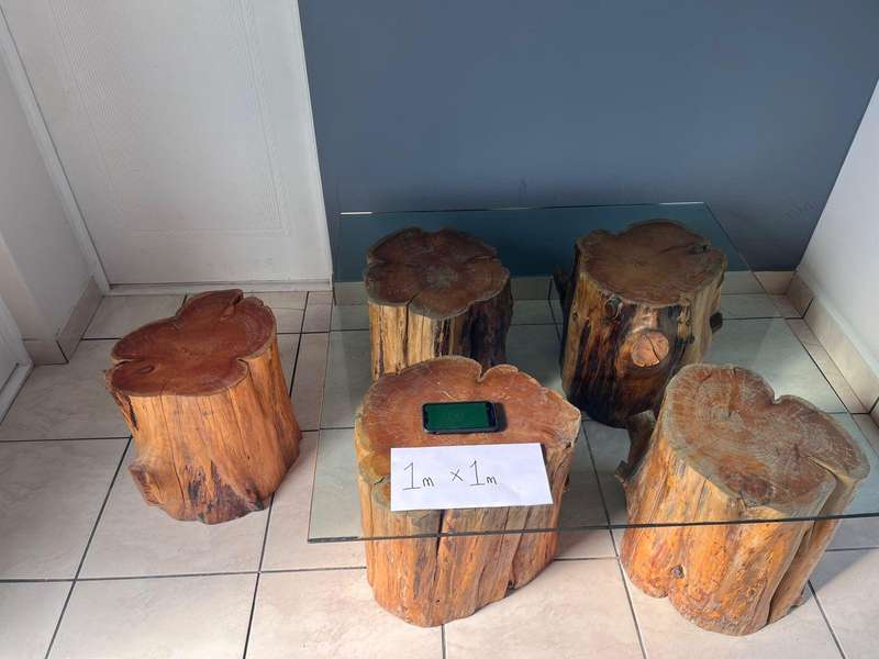 Coffee Table with glass top and 5 Polished Trunks