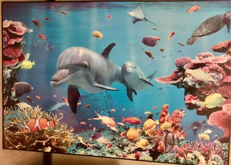 Gorgeous Underwater scene photo